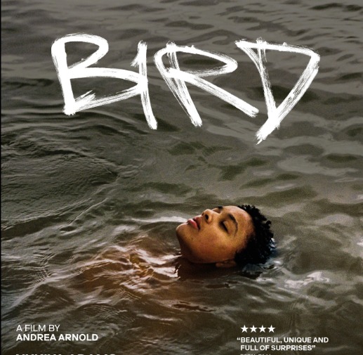 AMSTERDAM Hoe lees ik een film? Bird