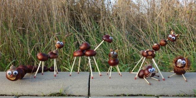 Parenting meetup: Chestnut animals and crazy spider race