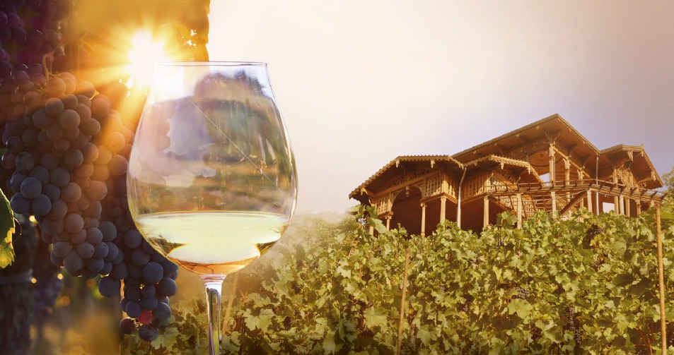 🍇Vinobraní na Grébovce 2025:🥂 Havlíčkovy sady
