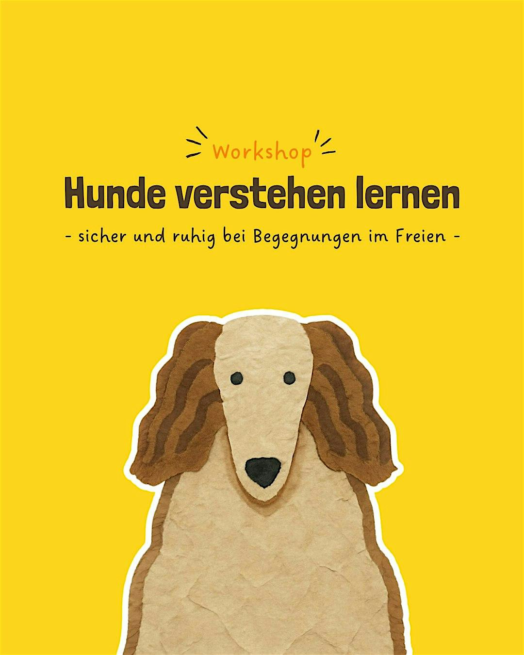 Hunde verstehen lernen – sicher und ruhig bei Begegnungen im Freien