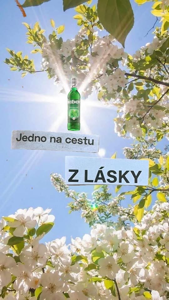 Lijeme a kveteme aneb jarní socped akcička!