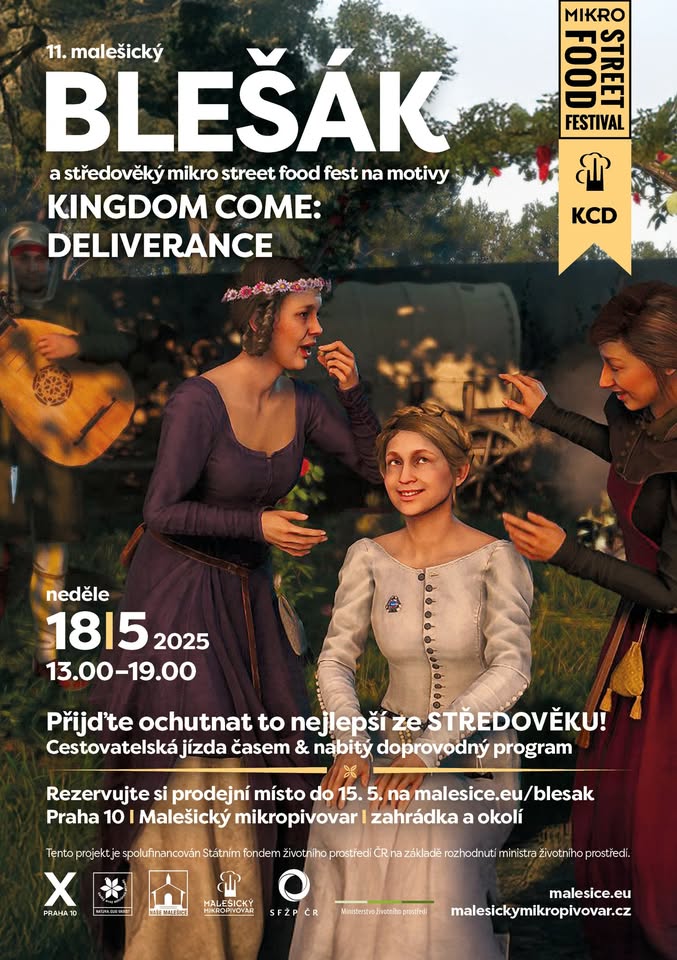 11. Malešický blešák & Mikro Street Food Festival 2025