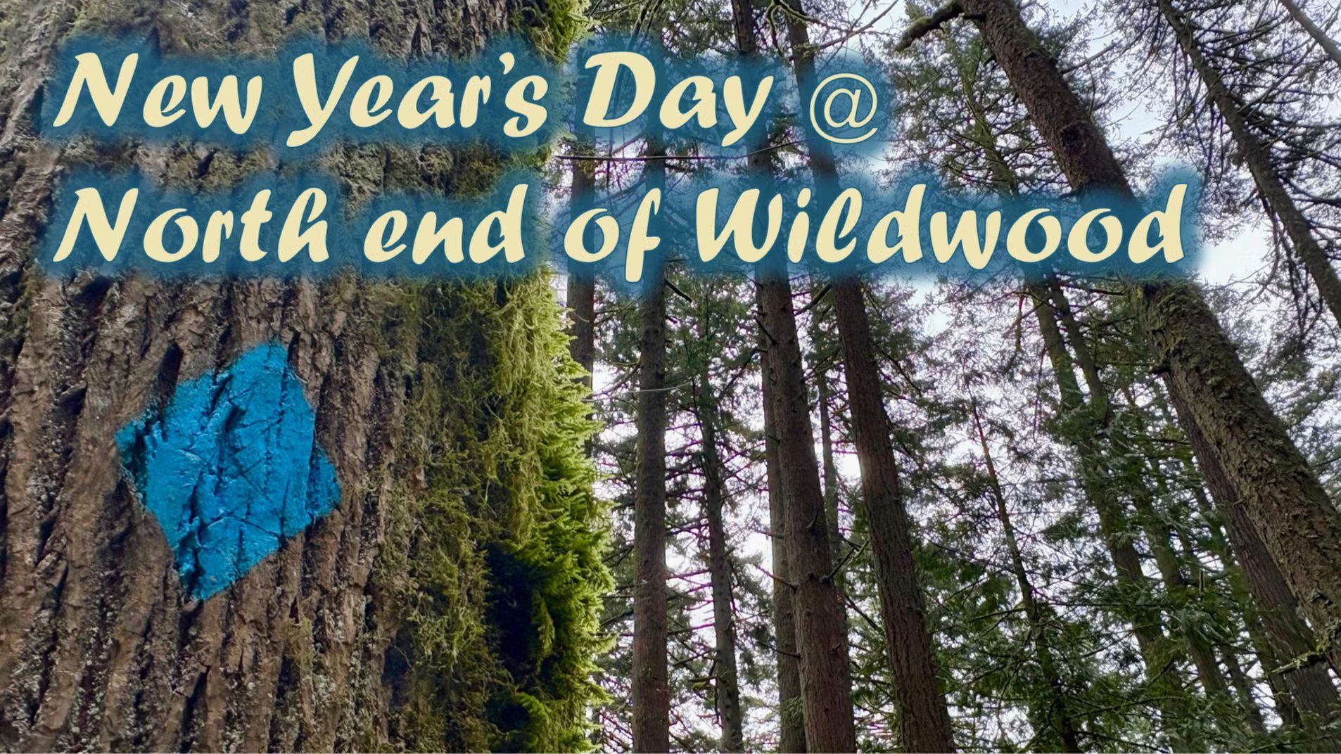 New Year's Day: North end of Wildwood (Newberry Rd Trailhead) +Cathedral Coffee!