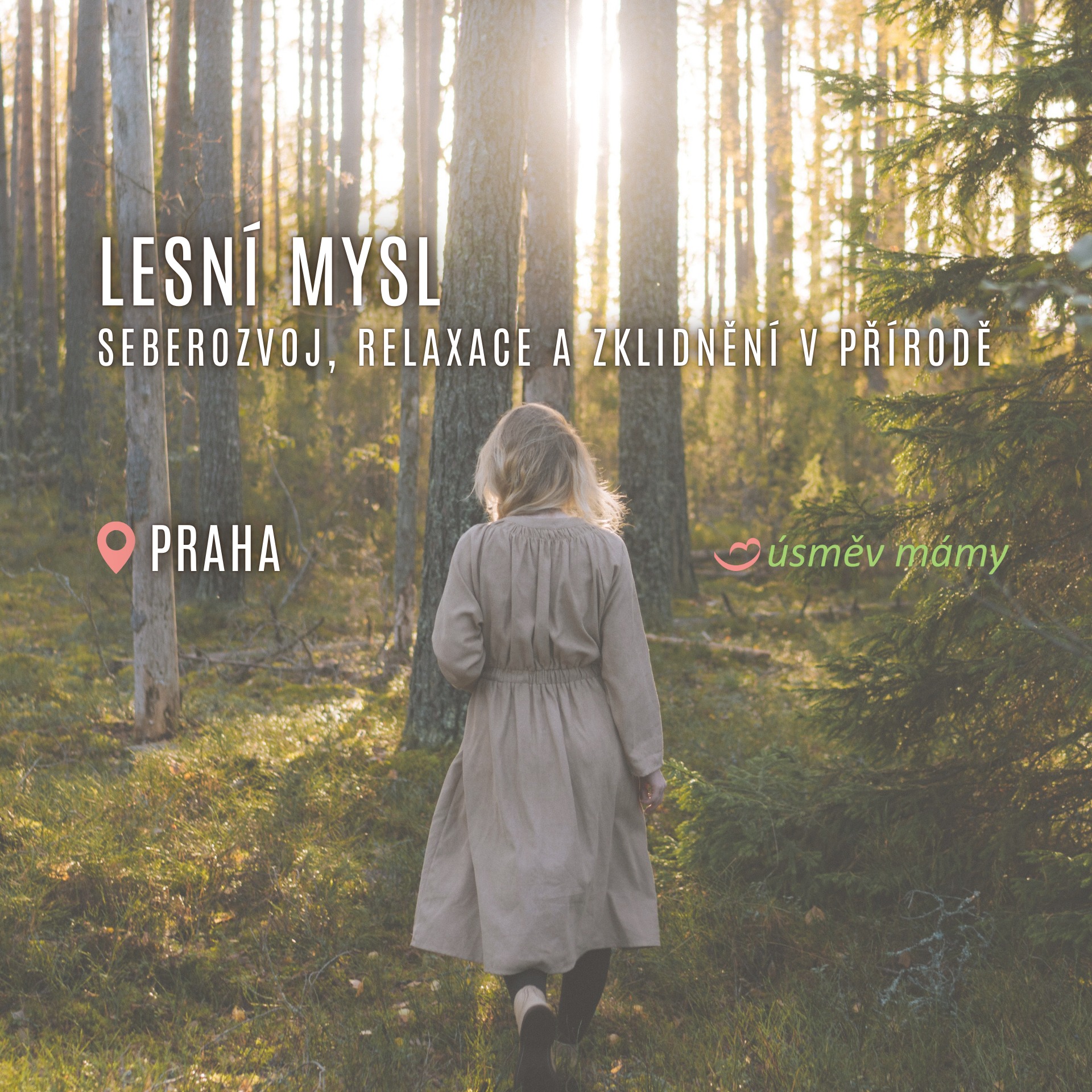 Lesní mysl – terapeutická skupina v přírodě | Praha Parukářka