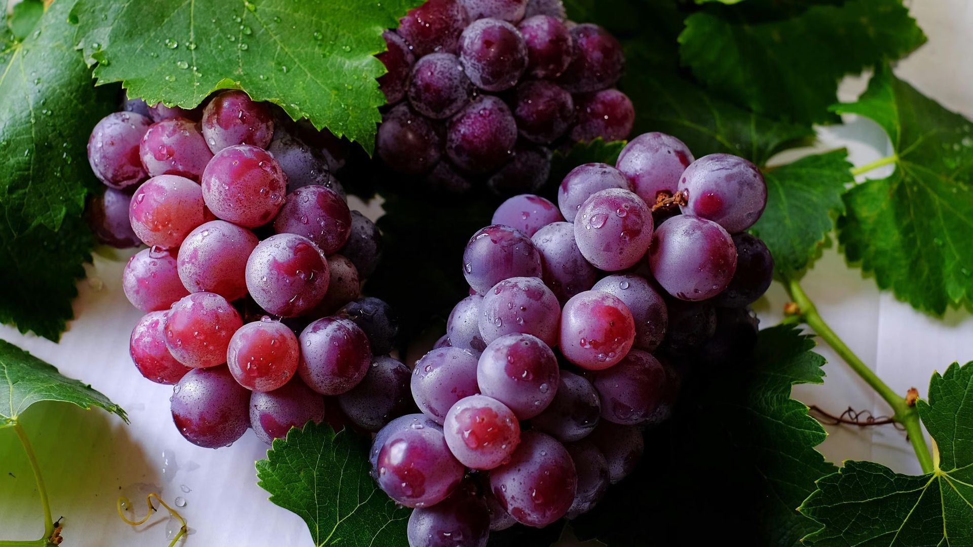 Zin Reds from Anywhere!