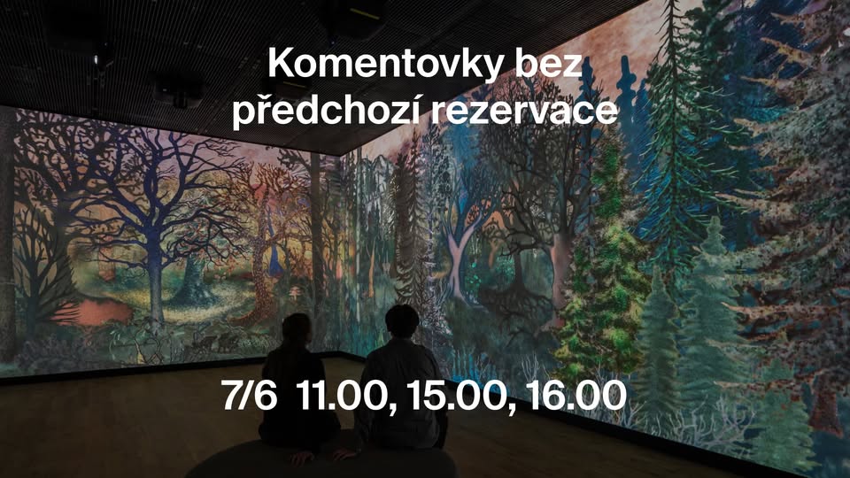 Komentované prohlídky bez předchozí rezervace