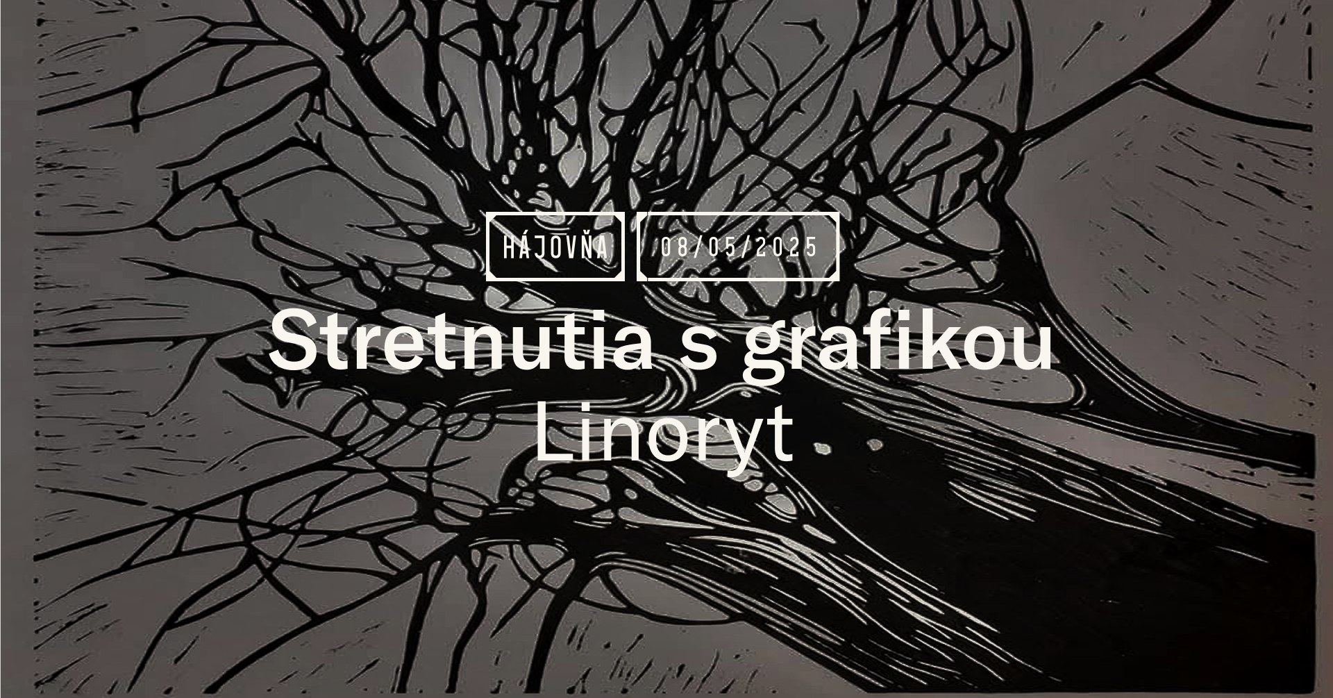 Stretnutia s grafikou / LINORYT