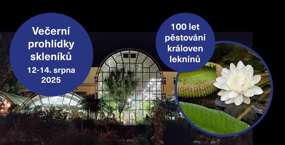 Večerní prohlídky skleníků