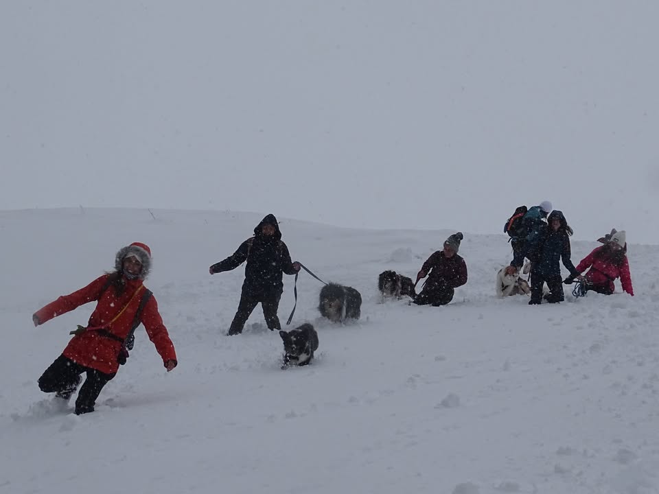 328. Dog Hájking Kutyás Túra (Ausztria, Krumpensee)