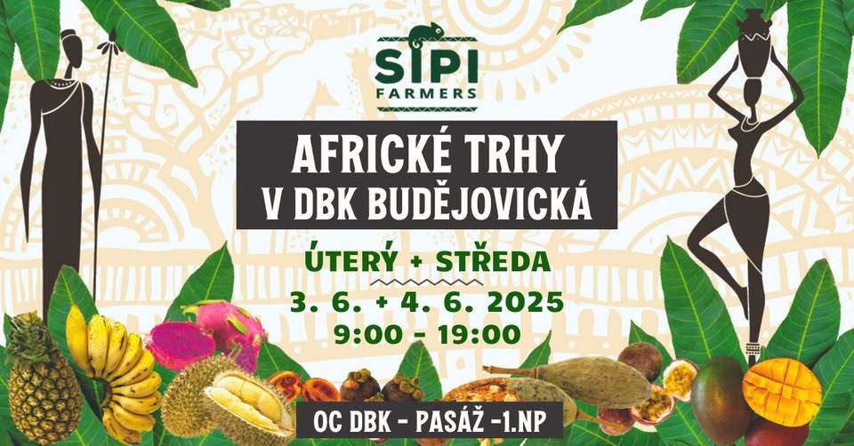Africké trhy v DBK Budějovická