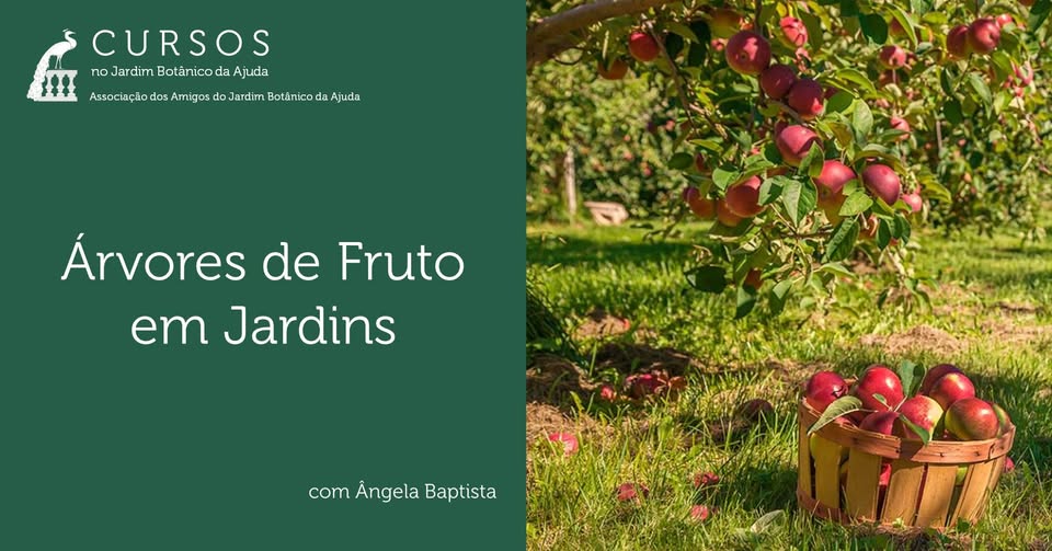 Árvores de Fruto em Jardins