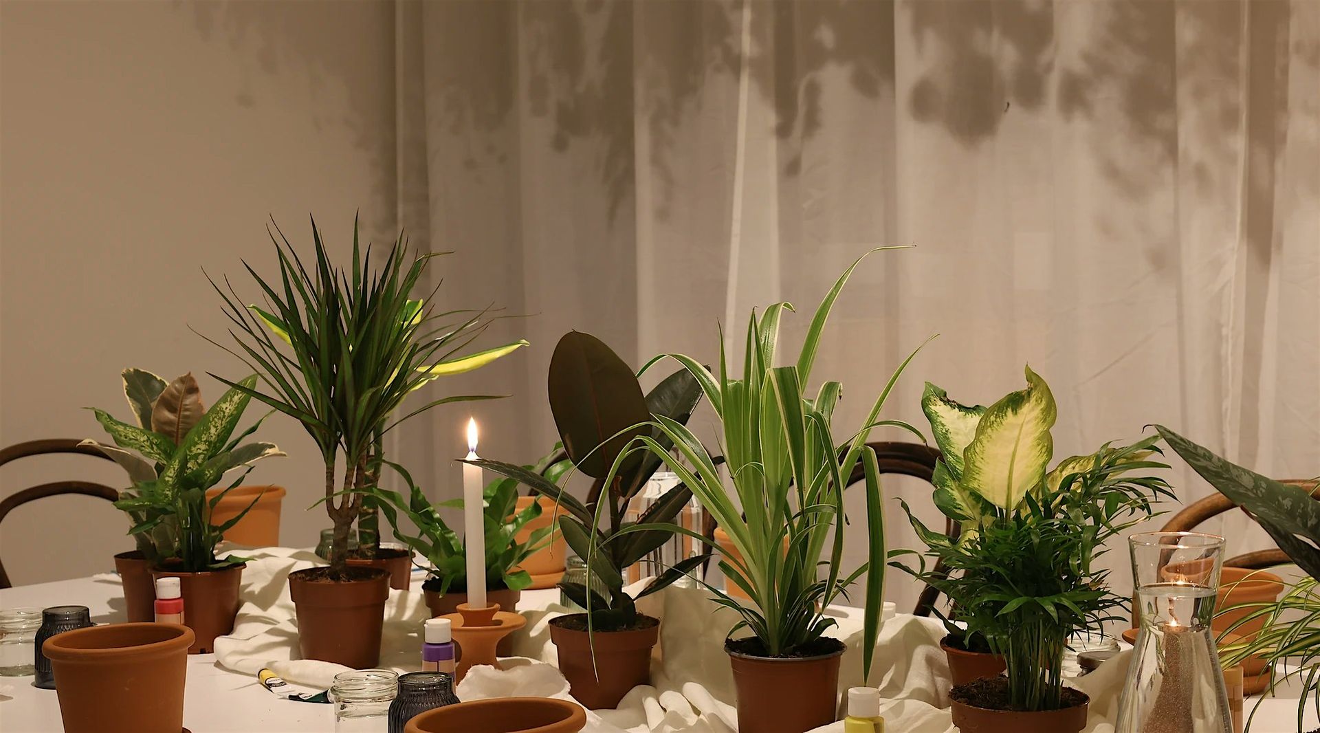 Paint & Plant Workshop: Mediterranean Vibes