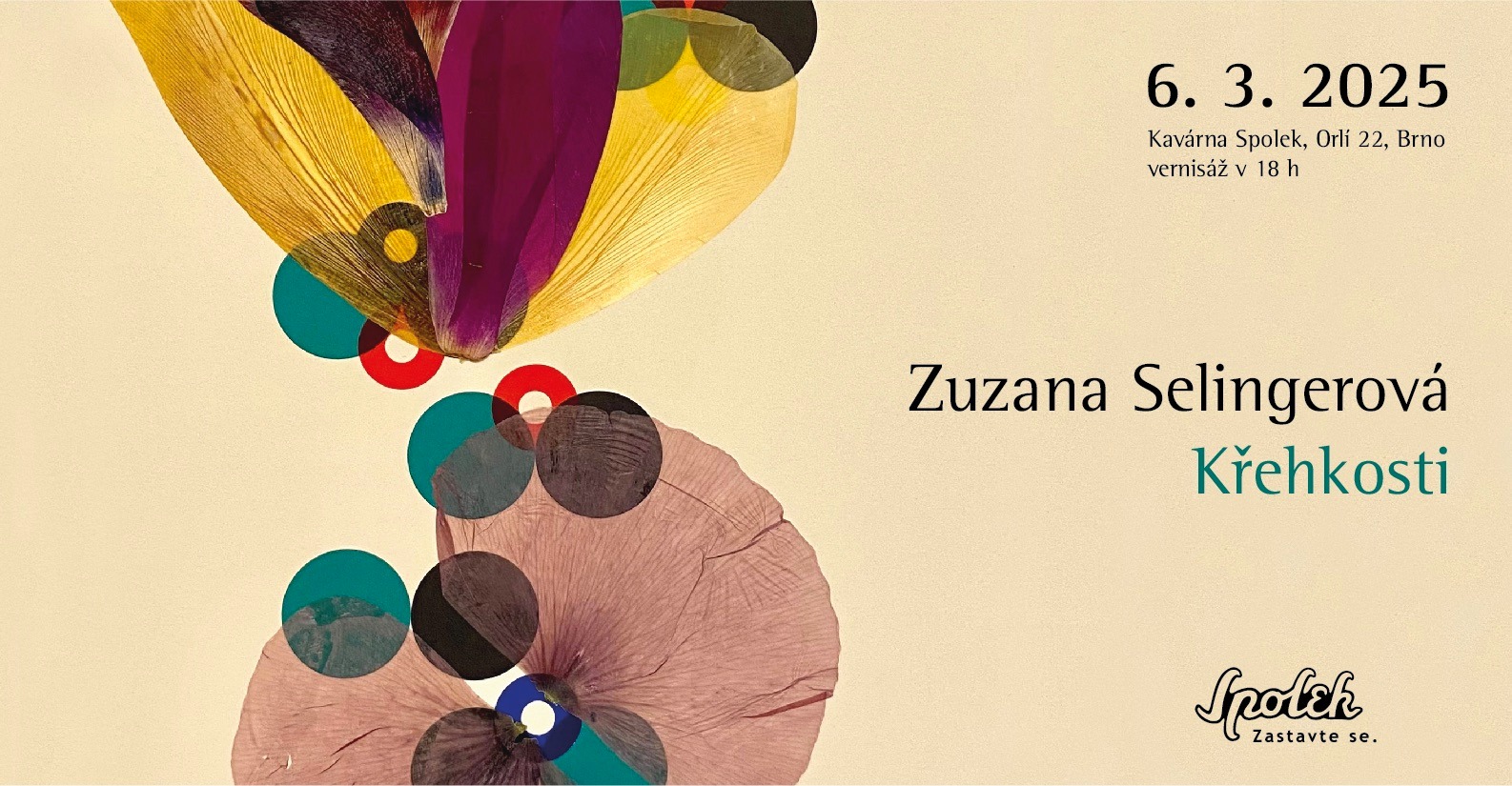 Zuzana Selingerová: Křehkosti