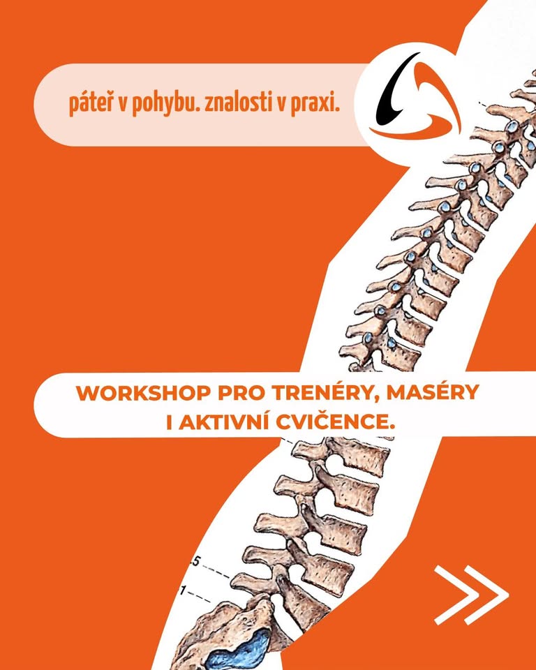 Páteř - workshop nejen pro trenéry a trenérky