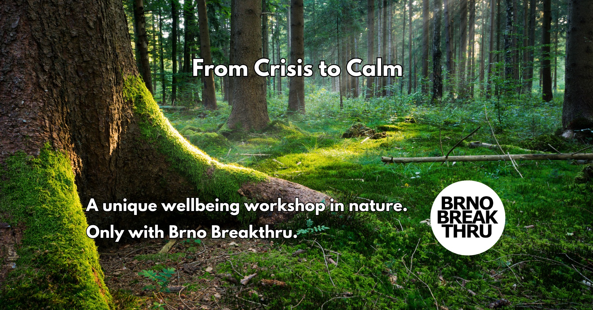 From Crisis to Calm: A Wellbeing Workshop in Nature