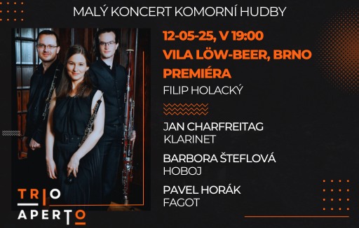 Malý koncert komorní hudby ve vile Löw-Beer