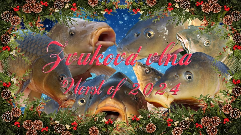 Zvuková vlna: Worst of 2024