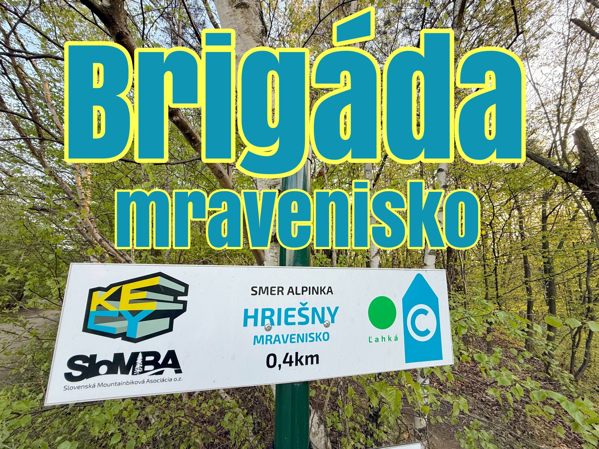 Brigáda Hriešny-mravenisko