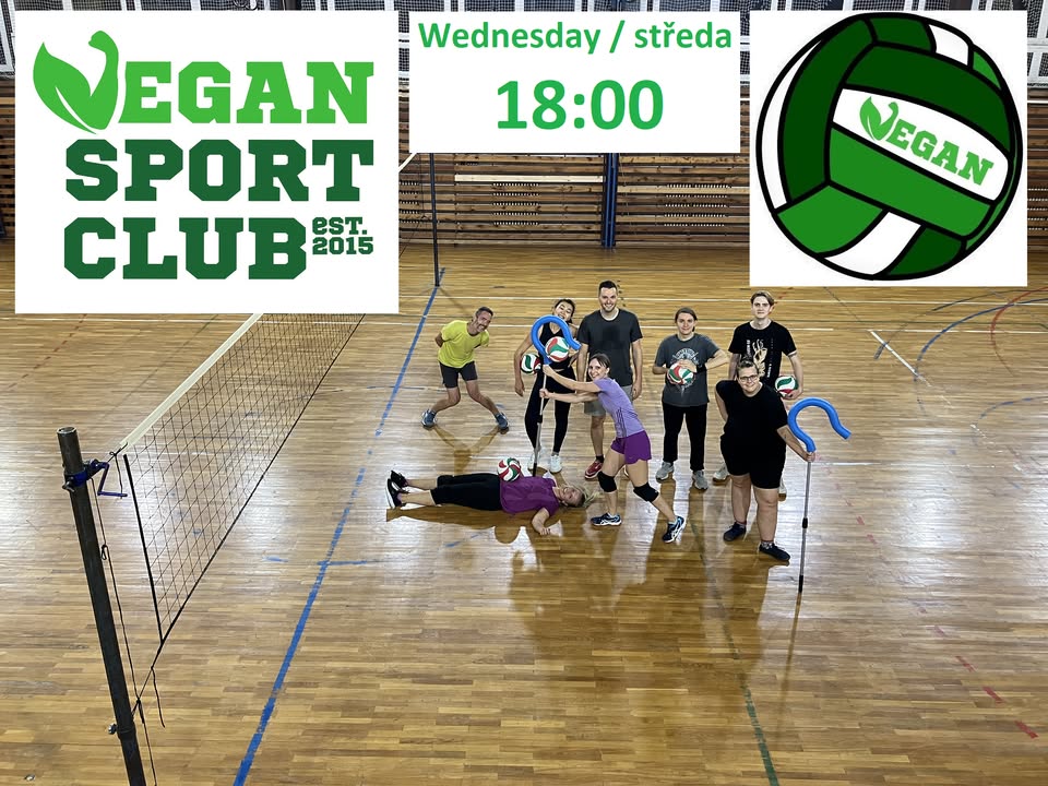 Vegan Volleyball (22.1.2025)