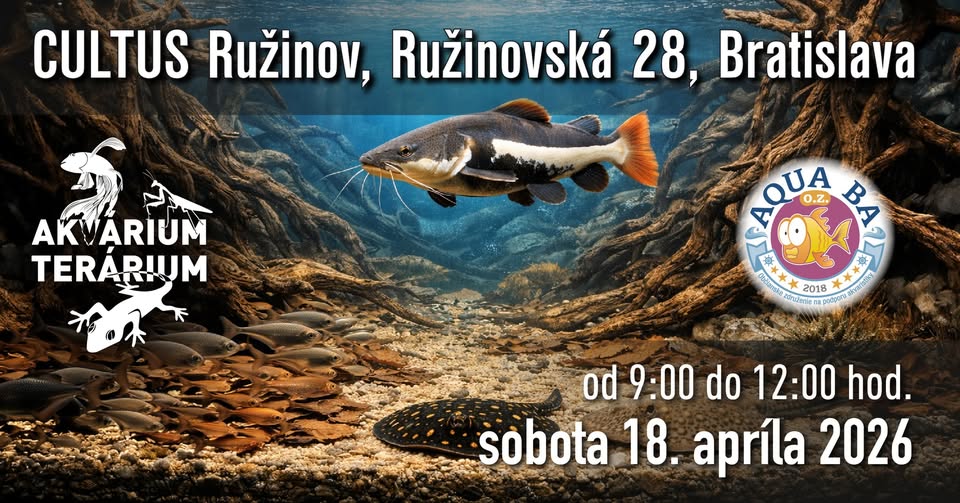 Predajná výstava Akvárium Terárium
