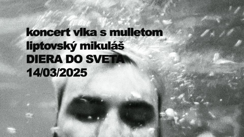 🚨 VYPREDANÉ 🚨 koncert vlka s mulletom @ DIERA DO SVETA