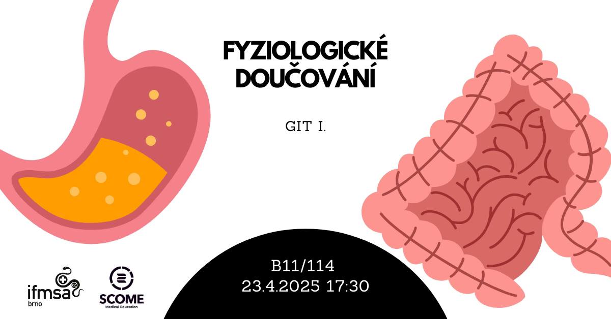 Fyziologické doučování - GIT I.