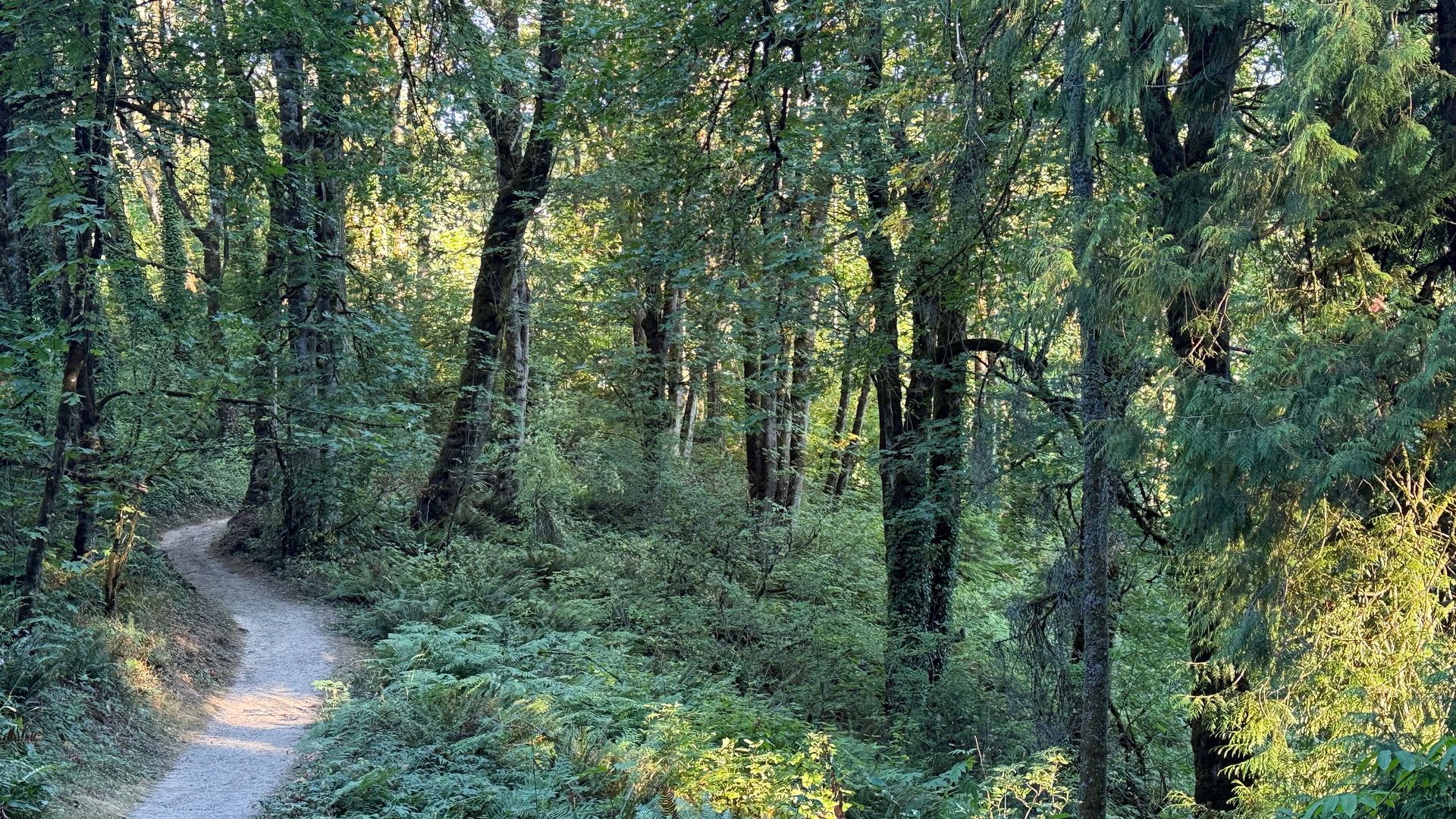 Forest Park / NW Springville Road