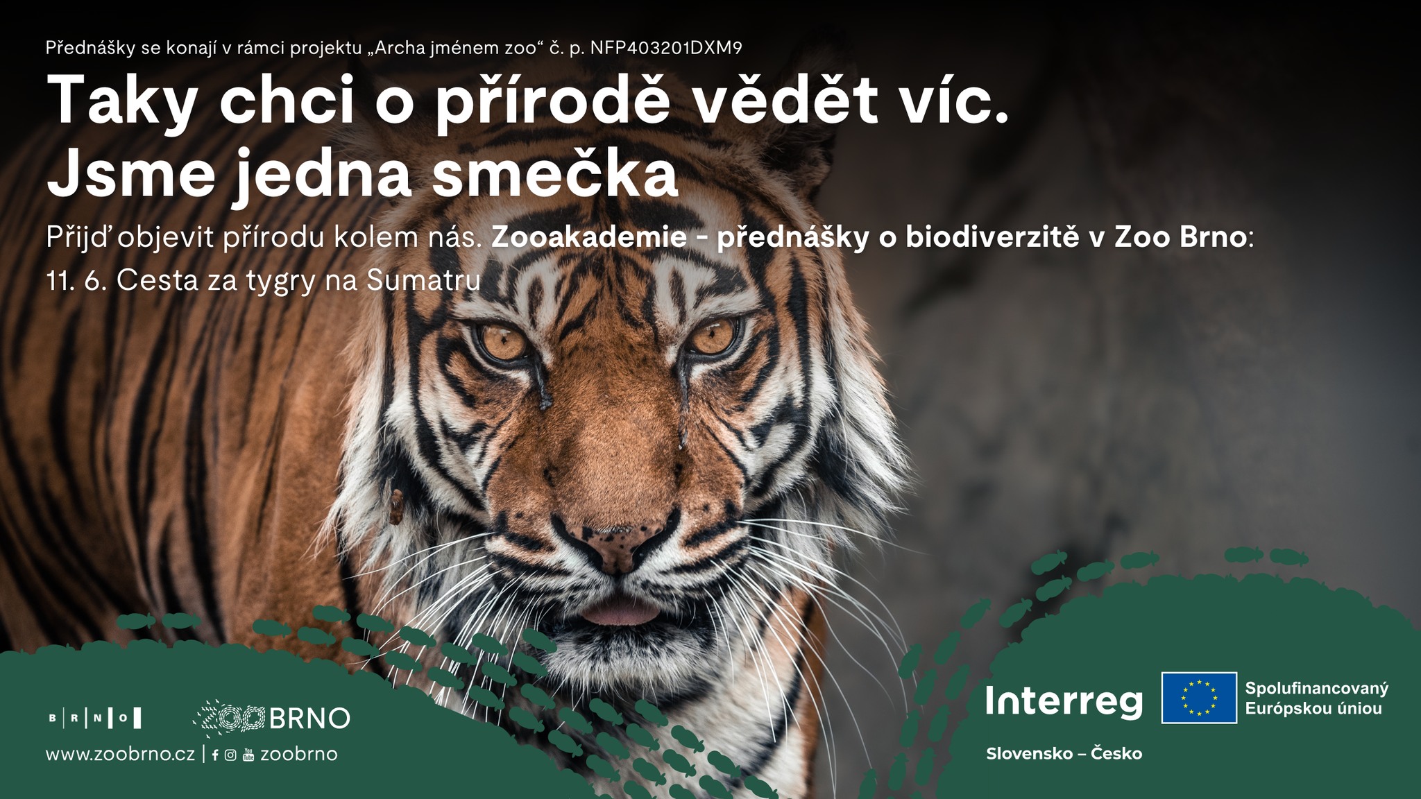 ZOOAKADEMIE: Moje cesta do indonéské divočiny za tygry sumaterskými