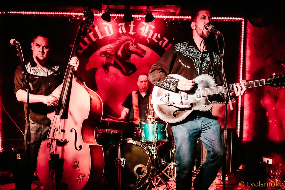 The Blue Velvets-CountryRocknRollRoots/Bln+Guest