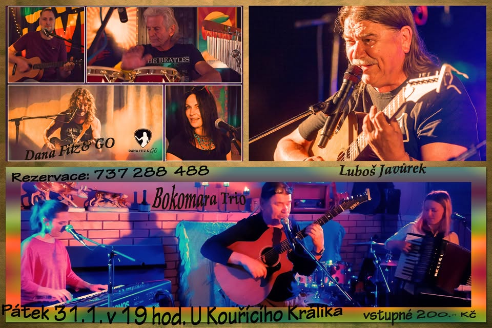 Společný koncert:  Dana Fitz & GO a Bokomara
