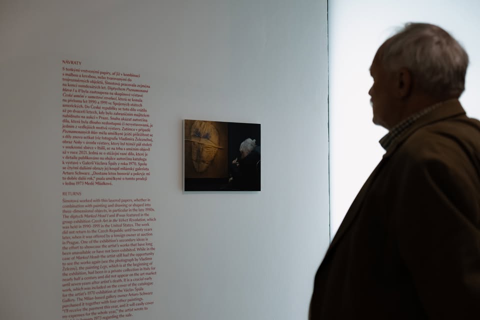 Komentovaná prohlídka výstavy Milá Adrieno s kurátorem Janem Skřivánkem