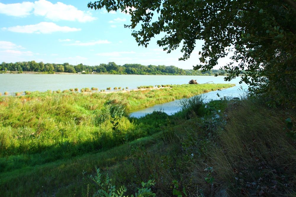 Easy Walk in the Danube Wetlands