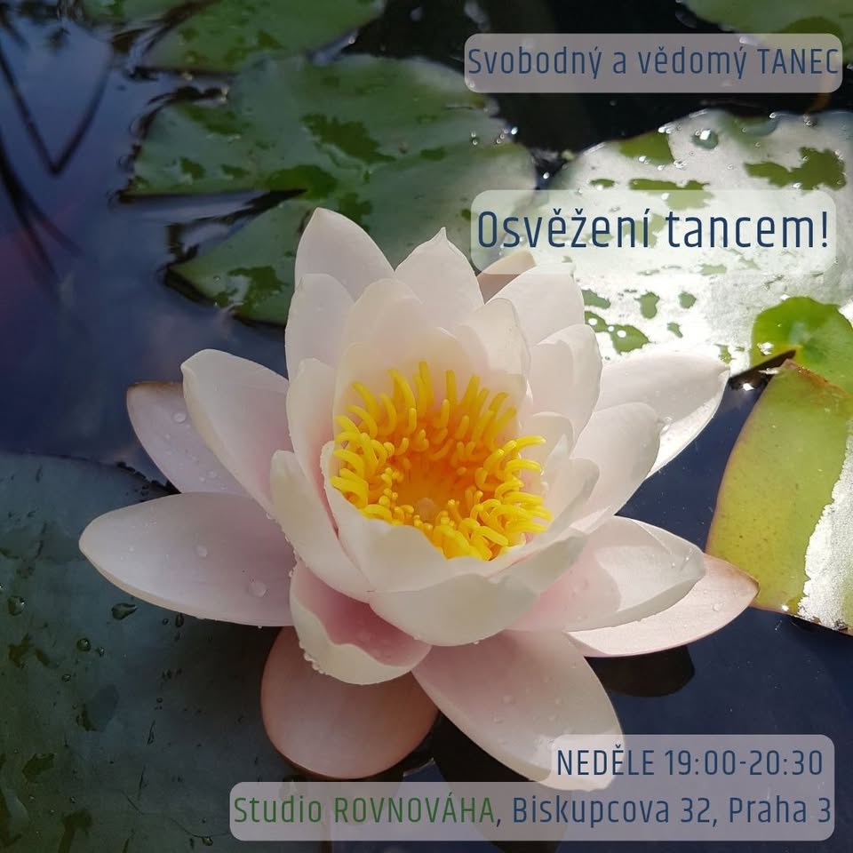 Svobodný a vědomý tanec s Markétou