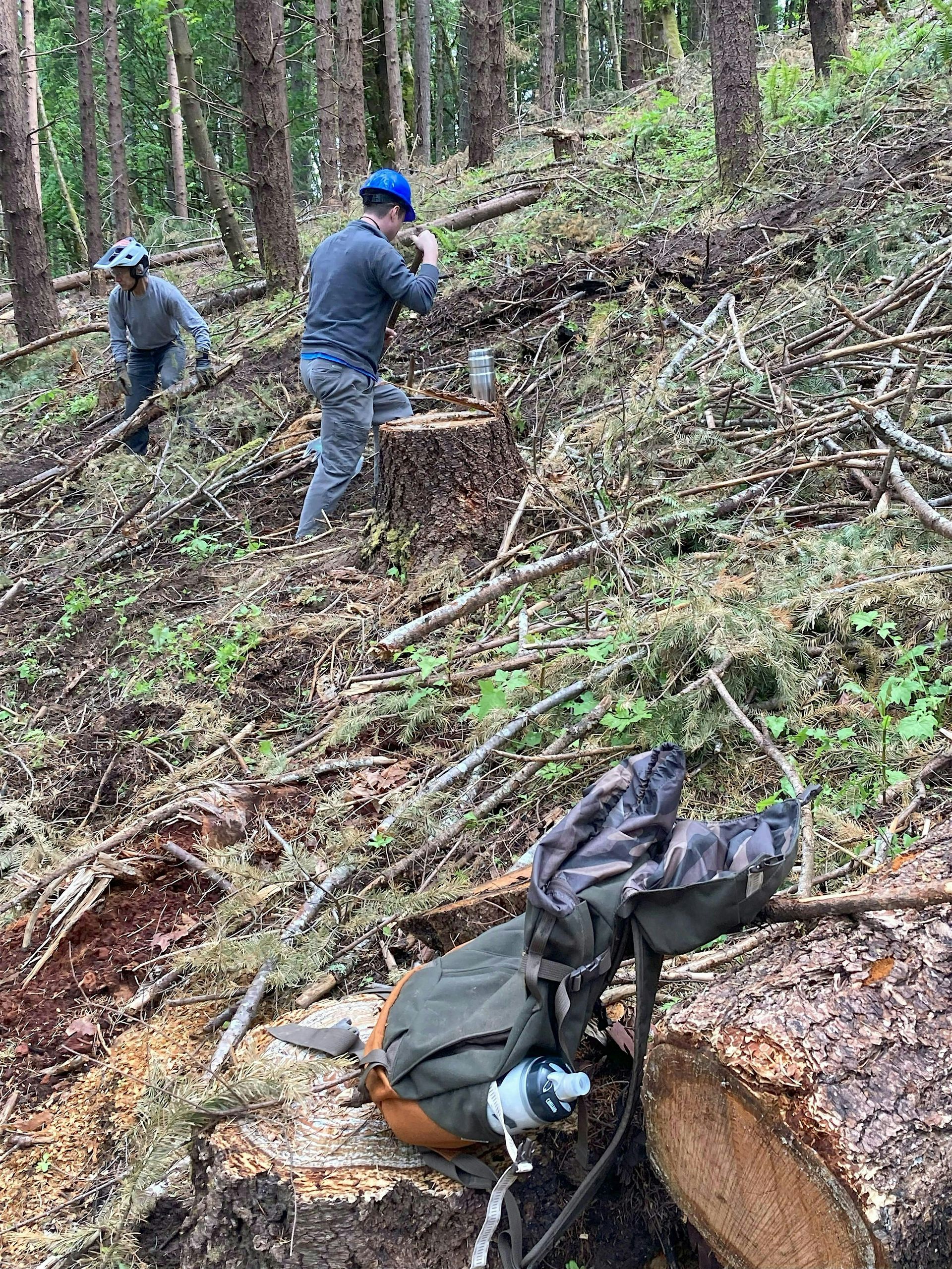 Stub Trail Restoration Day: 11/8