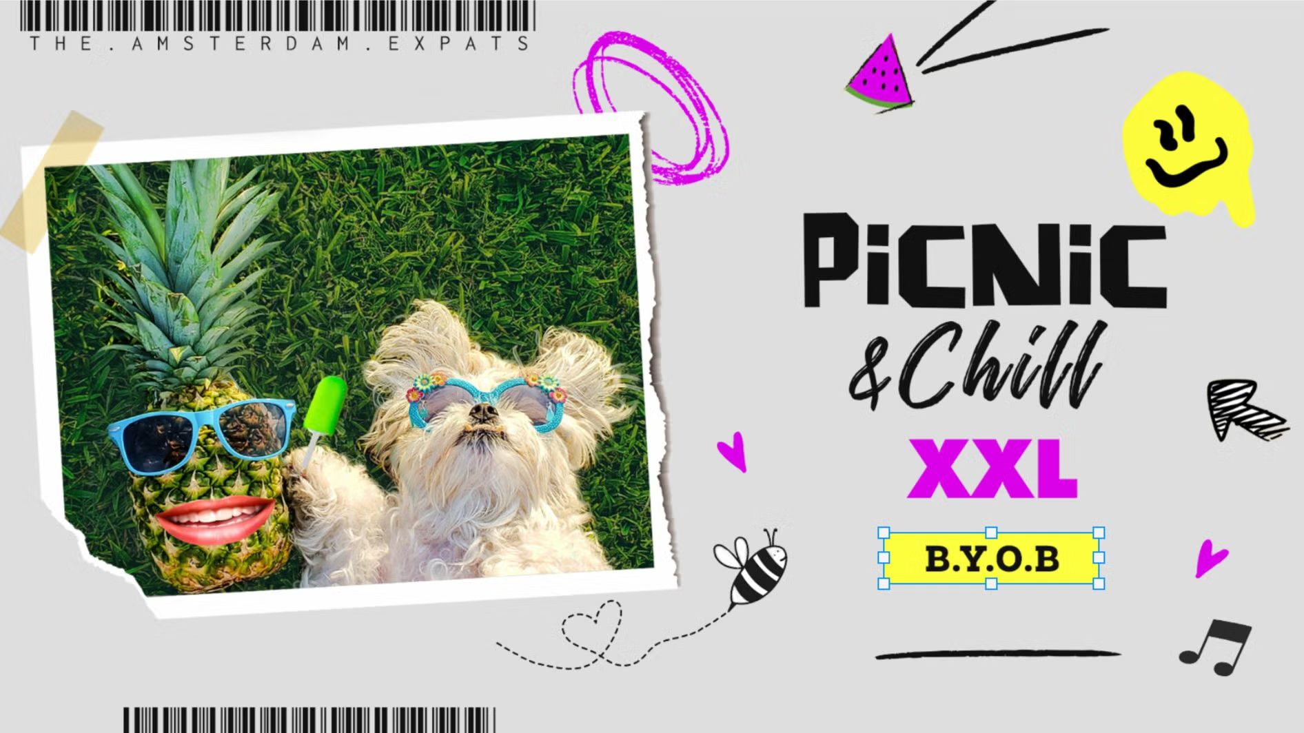 ☀️ Picnic & Chill XXL ☀️ @ Oosterpark (End of Summer Edition)