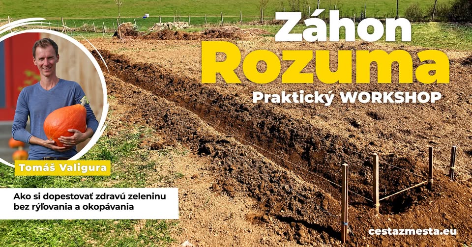Záhon Rozuma - Workshop, Odorica, Levoča