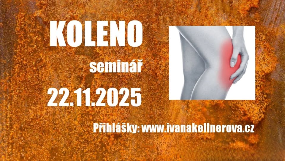 KOLENO - diagnostika, terapie a trénink