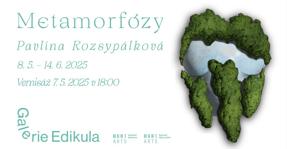 Vernisáž Pavlína Rozsypálková / Metamorfózy