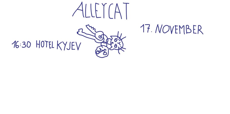 17th November Alleycat