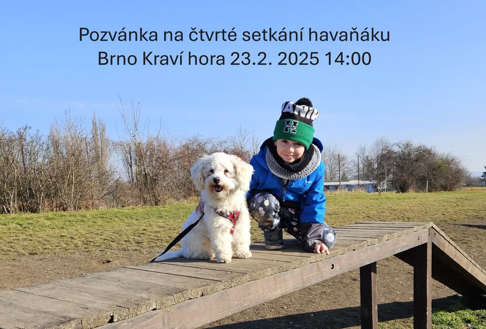 Čtvrté setkání havaňáků na Kraví hoře Brno