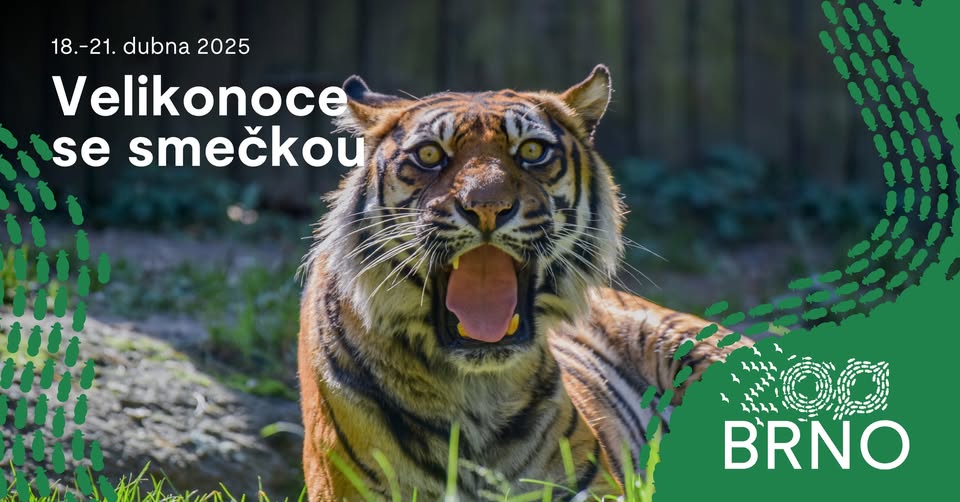 VELIKONOCE SE SMEČKOU