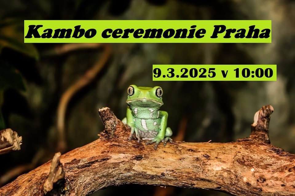 Kambo ceremonie Praha 9.3.2025