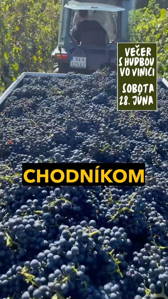 Večer s hudbou vo vinici: Miloš Avy & Martin Škuty Péteri