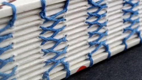 Introduction to Bookbinding 1: Pamphlets, Stab Bindings & Concertinas