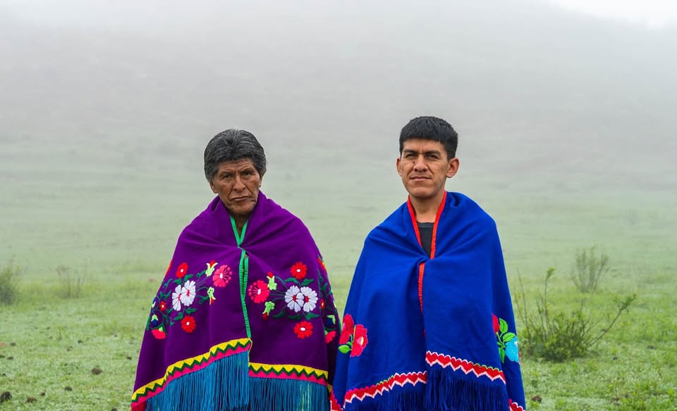 Wayqeycuna (Argentina)