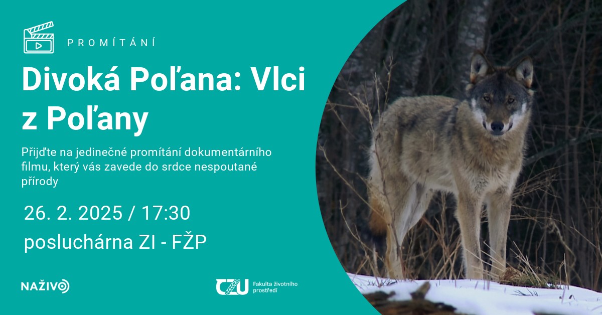 Divoká Poľana: Vlci z Poľany