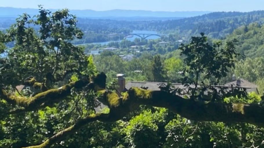 **10 AM** Walk to Coffee in SW Portland **10 AM**