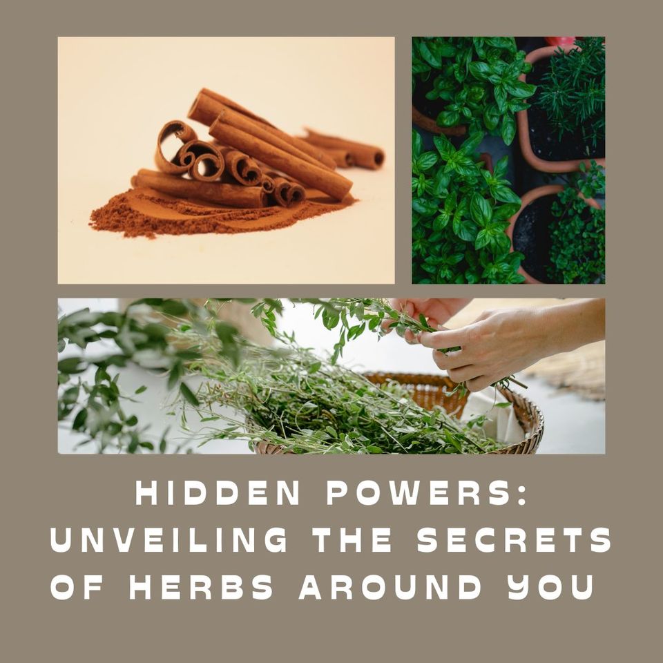 🌿 Herbs, oils and a cup of tea 🍵