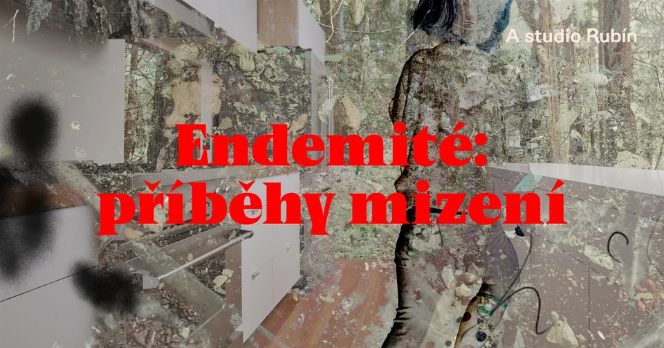 Endemité: příběhy mizení