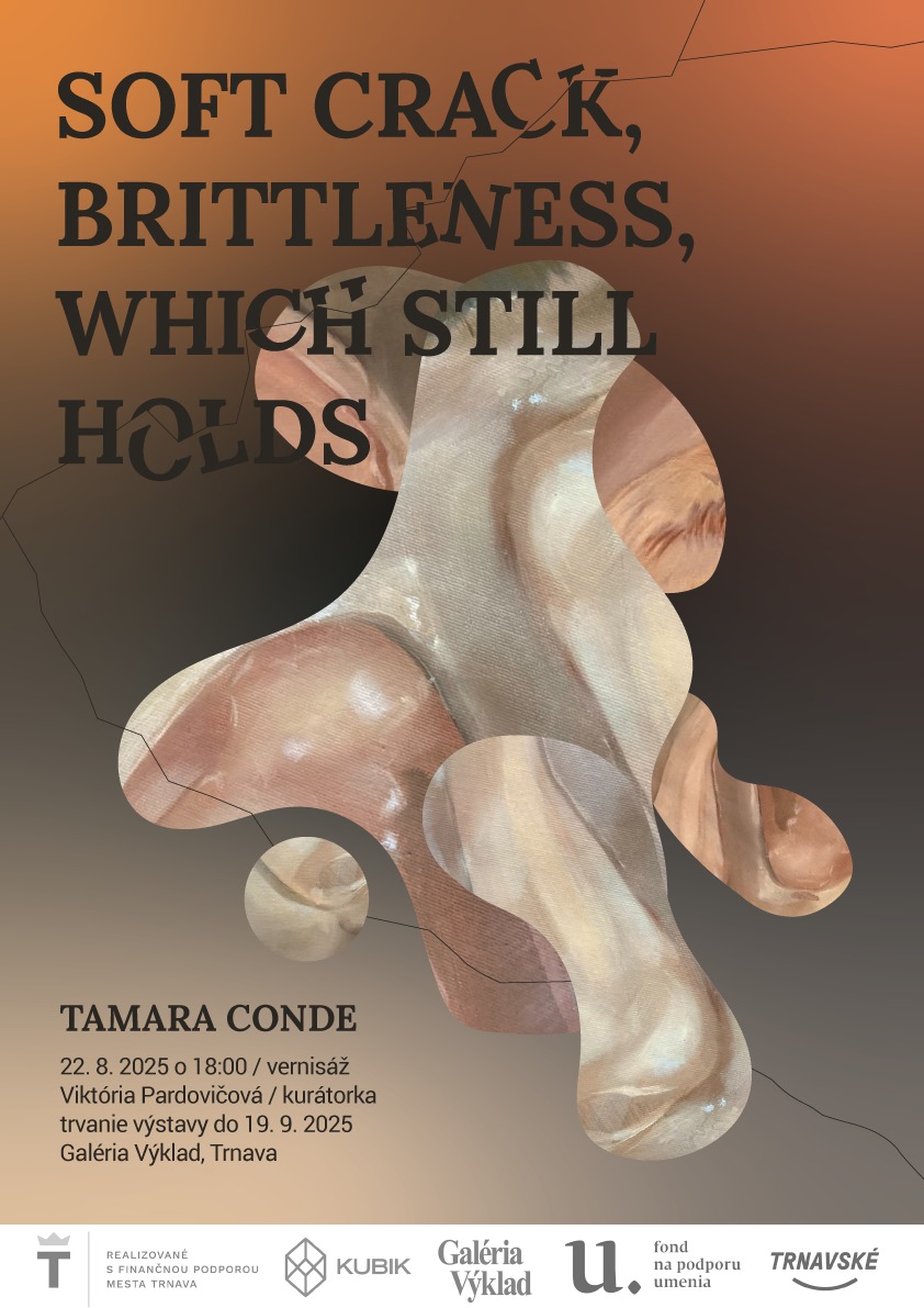 Tamara Conde -Soft crack, brittleness, which still holds